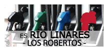 Gasolinera Los Robertos