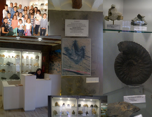 Exposición Fósiles y Minerales